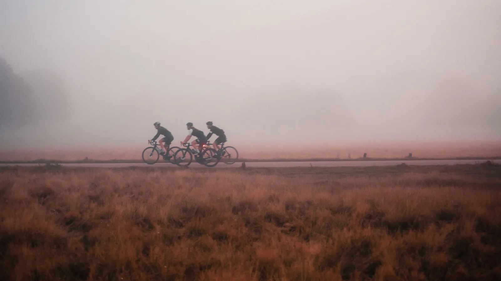Three riders in morning fog crossing a heath